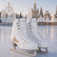 Коньки фигурные FITICE Rental X Platinum